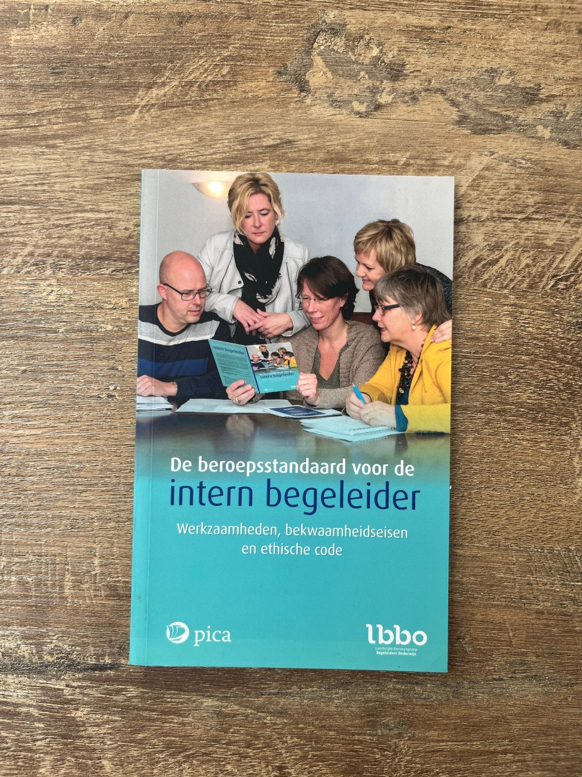 De beroepsstandaard intern begeleider LBBO 11e druk, Boeken, Ophalen of Verzenden, Beta, Gelezen, HBO