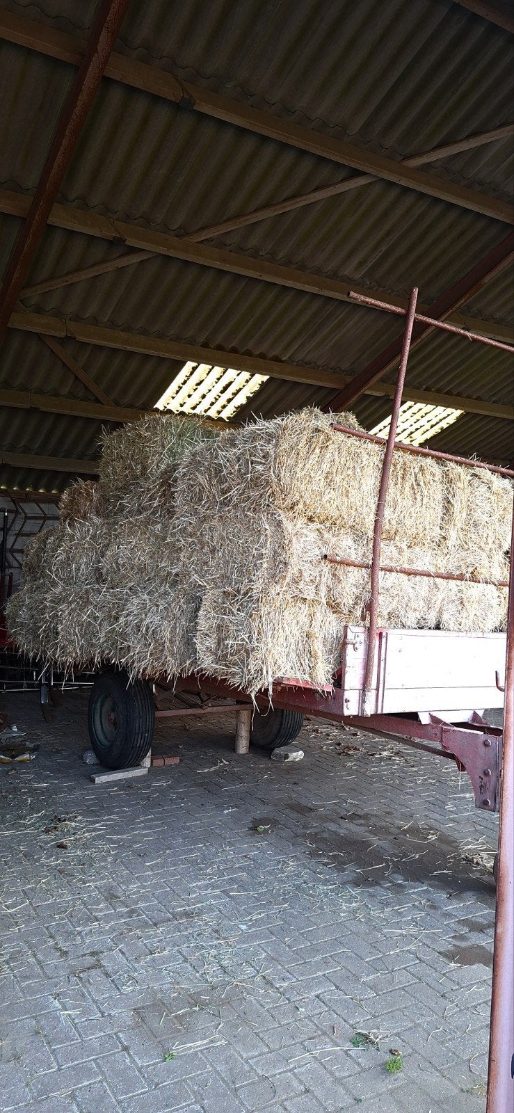 Hooibalen , +/- 18 kilo per stuk, Dieren en Toebehoren, Dierenvoeding, Ophalen, Vee