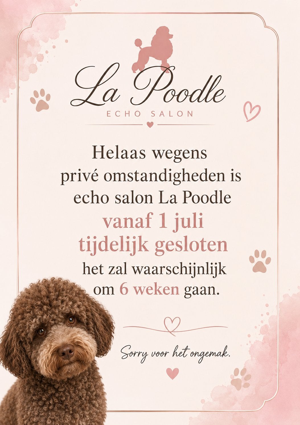 Poes of hond drachtig? Maak een dracht echo, Poes, 0 tot 2 jaar