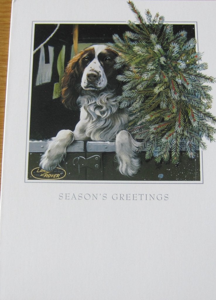 nieuwe dubbele kerstkaart met Engelse spaniel en kerstboom, Ophalen of Verzenden, Nieuw