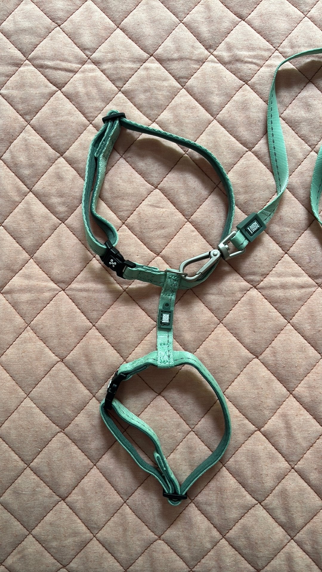 Kattentuig + riem, Dieren en Toebehoren, Katten-accessoires, Ophalen of Verzenden, Zo goed als nieuw