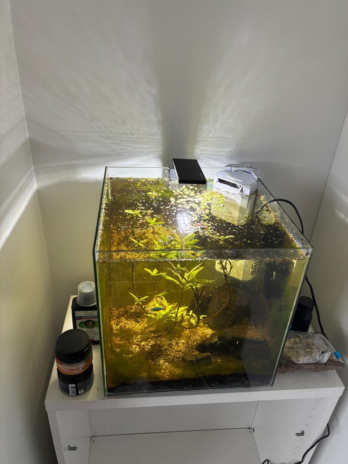 Aquarium set, Ophalen, Leeg aquarium