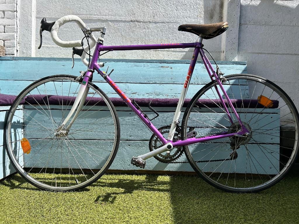 Giant Speeder, Fietsen en Brommers, Ophalen, Gebruikt, Velgrem, Giant