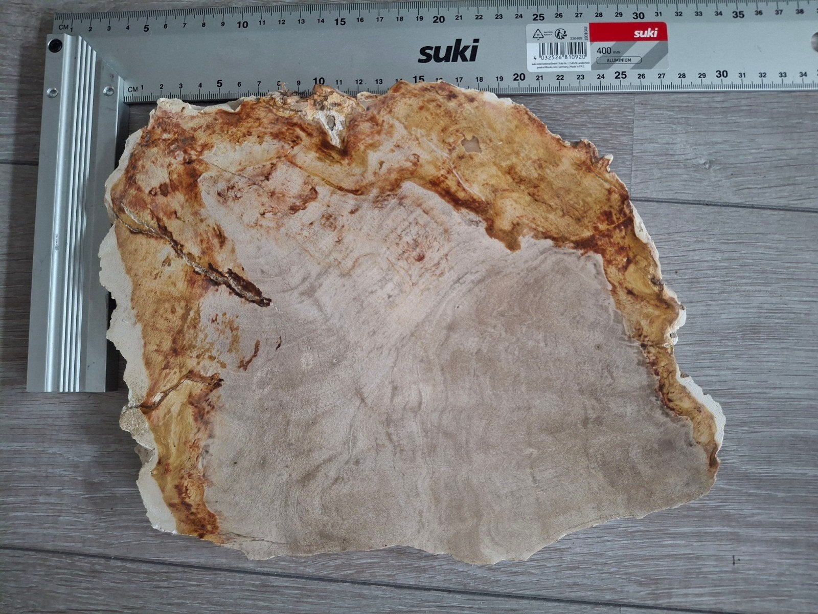 Plak versteend hout  ,maten 30 x25     2.2 kg., Ophalen of Verzenden