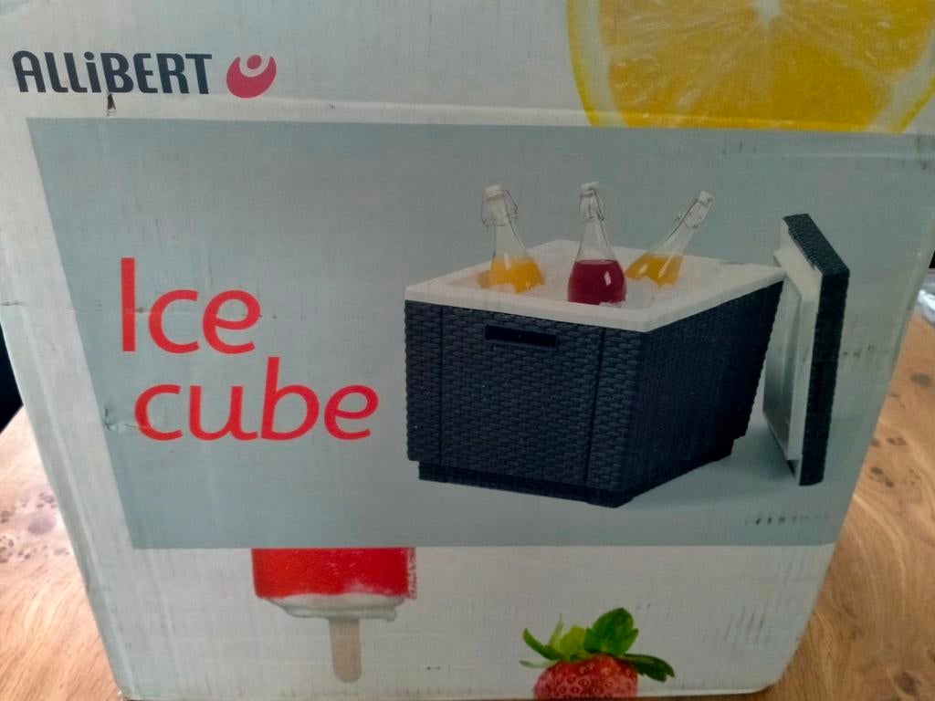 Nieuw Allibert kubus koelbox, Ophalen of Verzenden, Nieuw, Koelelement