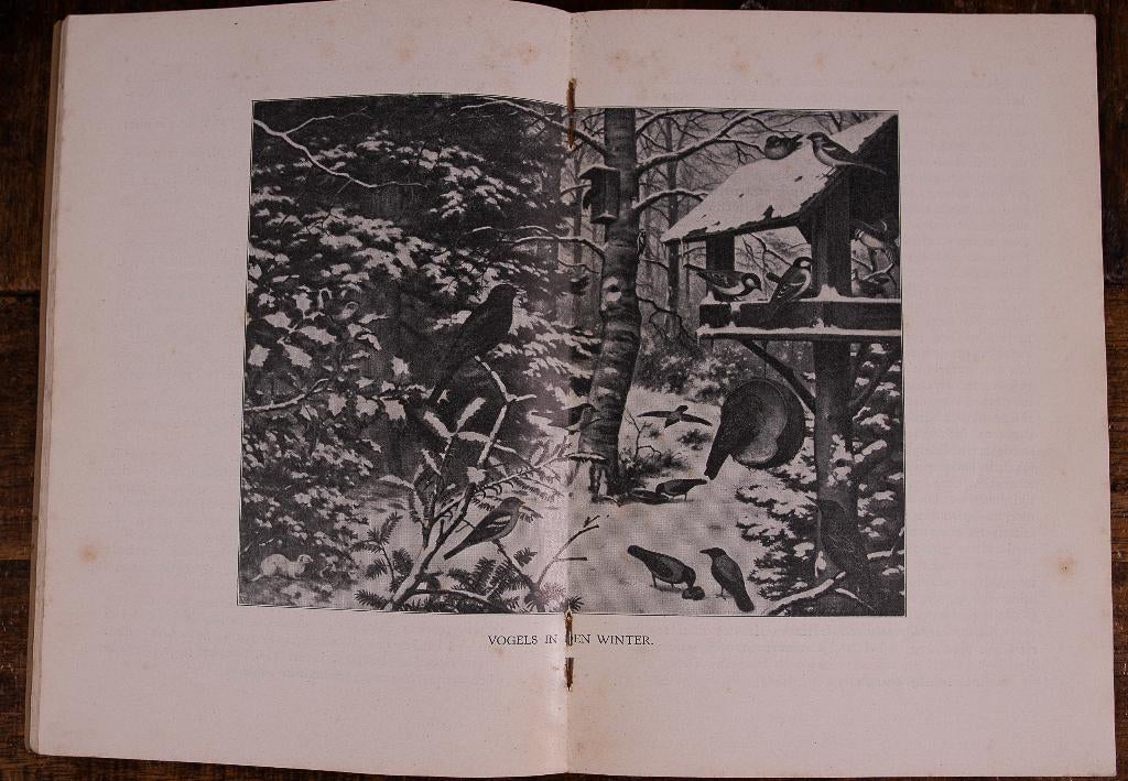 schoolplaat  boekje – Vogels in den winter  , Antiek en Kunst, Ophalen of Verzenden, Natuur en Biologie