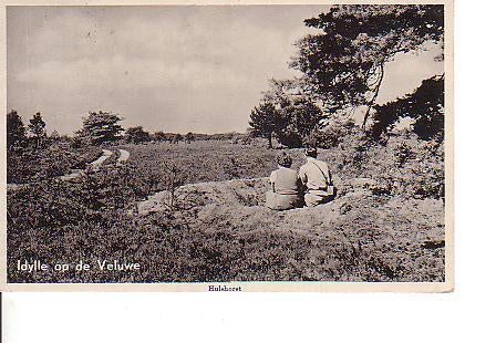 Ansichtkaart	Hulshorst	Idylle op de Veluwe, Verzenden, 1940 tot 1960, Gelopen, Gelderland