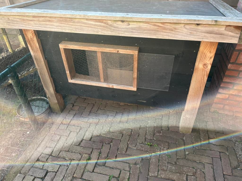 Te koop douglas konijnen hok, Vrouwelijk, Groot