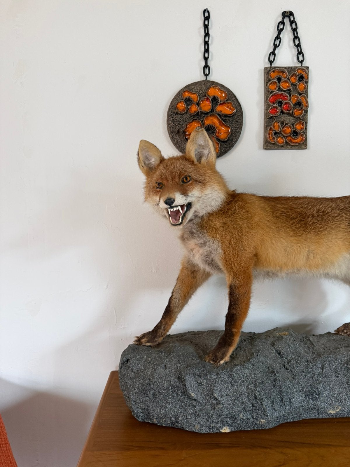 Taxidermie van een opgezette vos ‘00, Ophalen of Verzenden, Zo goed als nieuw, Wild dier, Opgezet dier