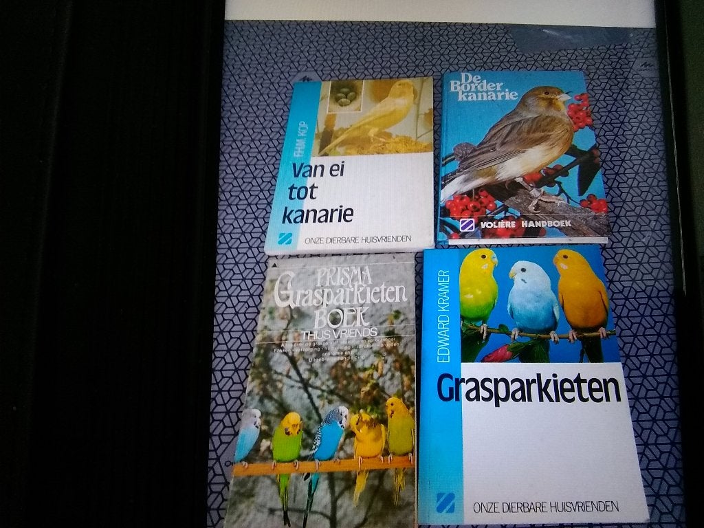 Boeken van grasparkieten en kanaries, Dieren en Toebehoren, Vogels | Kanaries, Meerdere dieren, Kleurkanarie