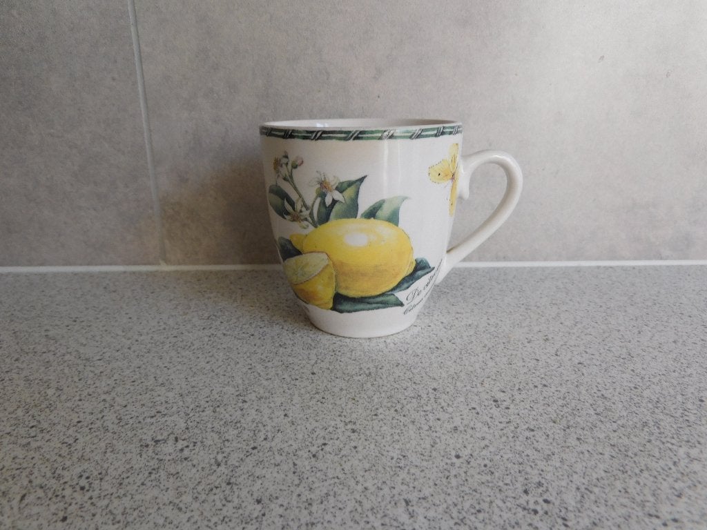 Senseo Mok Citroen Botania Janneke Brinkman JBS, Huis en Inrichting, Keuken | Servies, Ophalen of Verzenden, Zo goed als nieuw