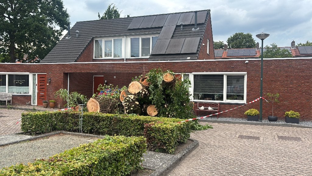 Gratis brandhout, Tuin en Terras, 6 m³ of meer, Ophalen, Stammen