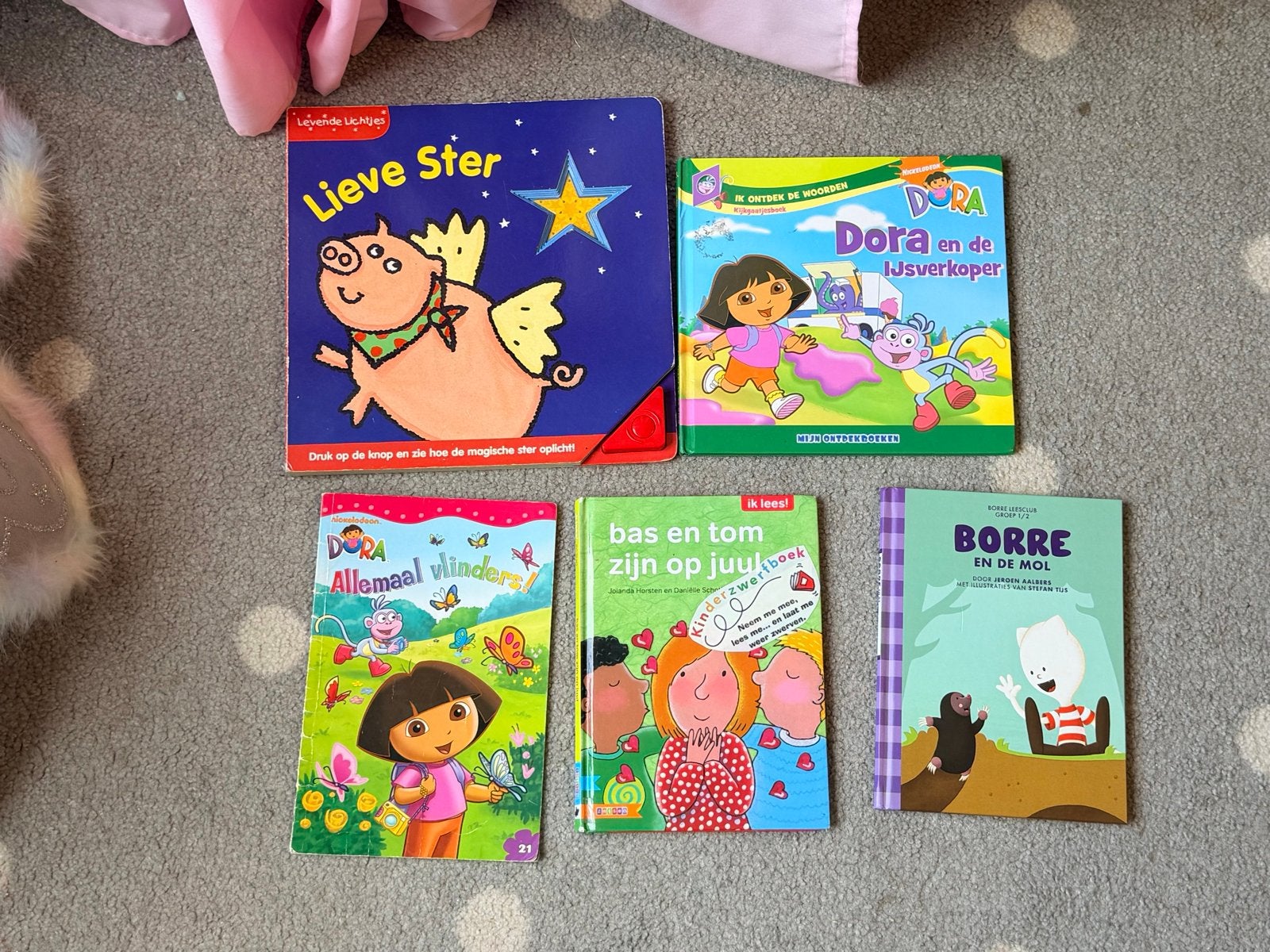 Kinderboeken: Dora, Lieve Ster, Bas en Tom, Borre, Ophalen, Gelezen, Fictie algemeen