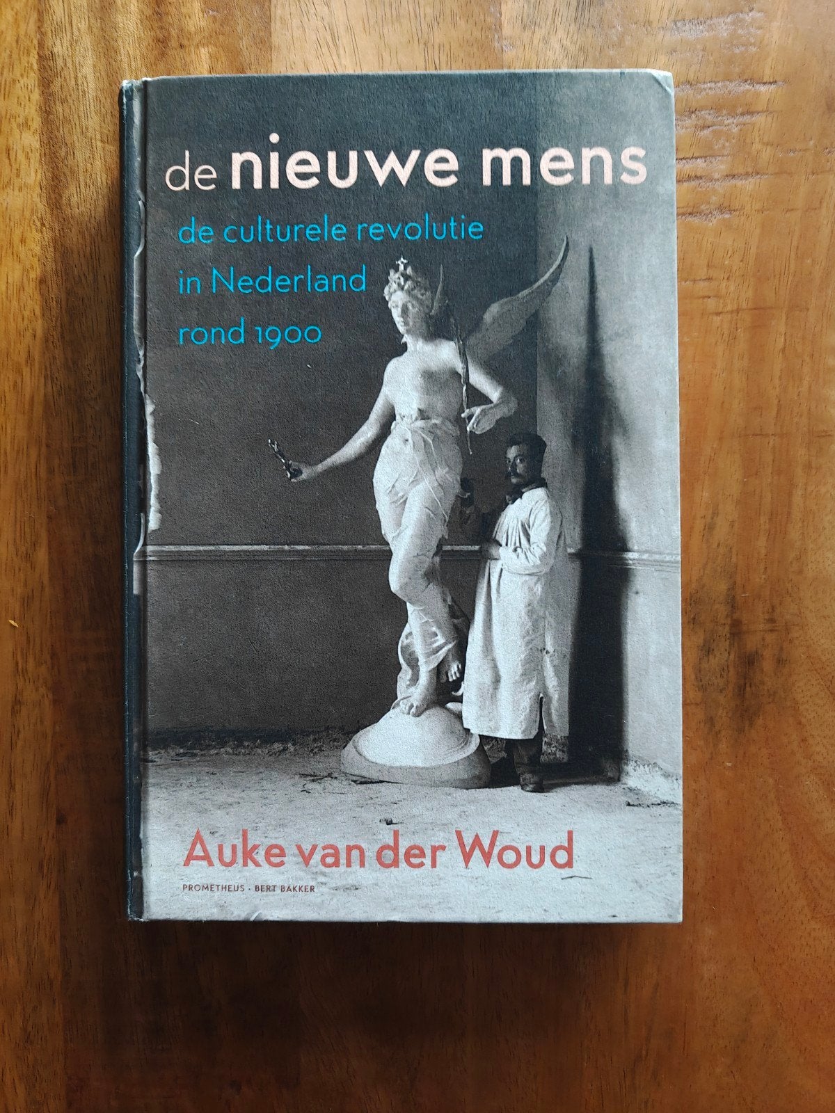 De Nieuwe Mens - Auke van der Woud (Hardcover), Ophalen of Verzenden, Gelezen, Auke van der Woud, Nederland