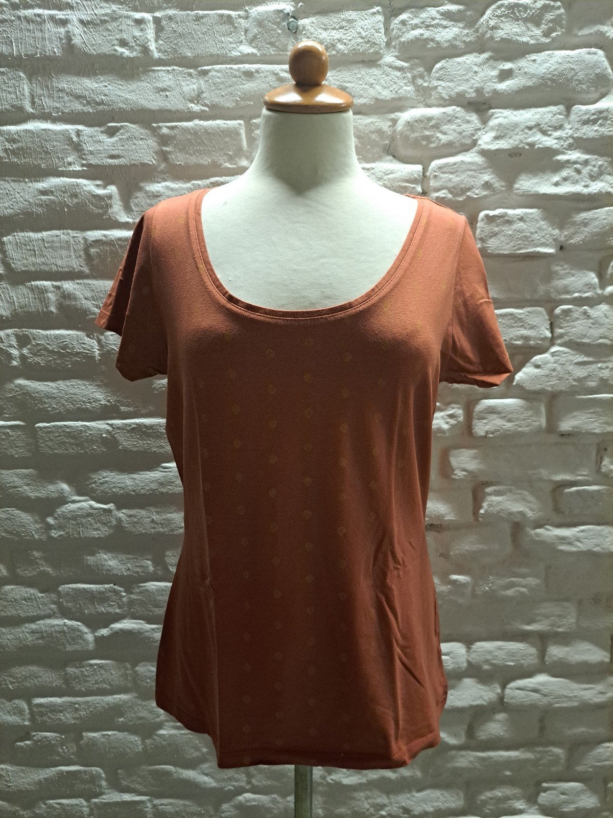 Zeeman T-shirt Maat 44, Kleding | Dames, Bruin, Verzenden, Zeeman, Maat 42/44 (L)