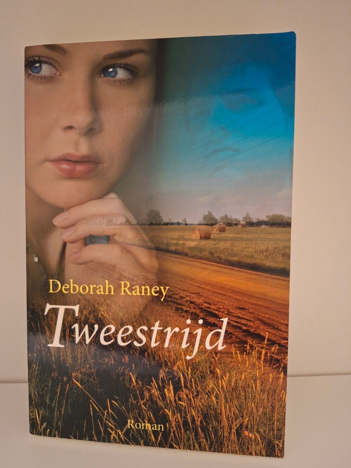 D. Raney - Tweestrijd, Boeken, Ophalen of Verzenden, Zo goed als nieuw, D. Raney