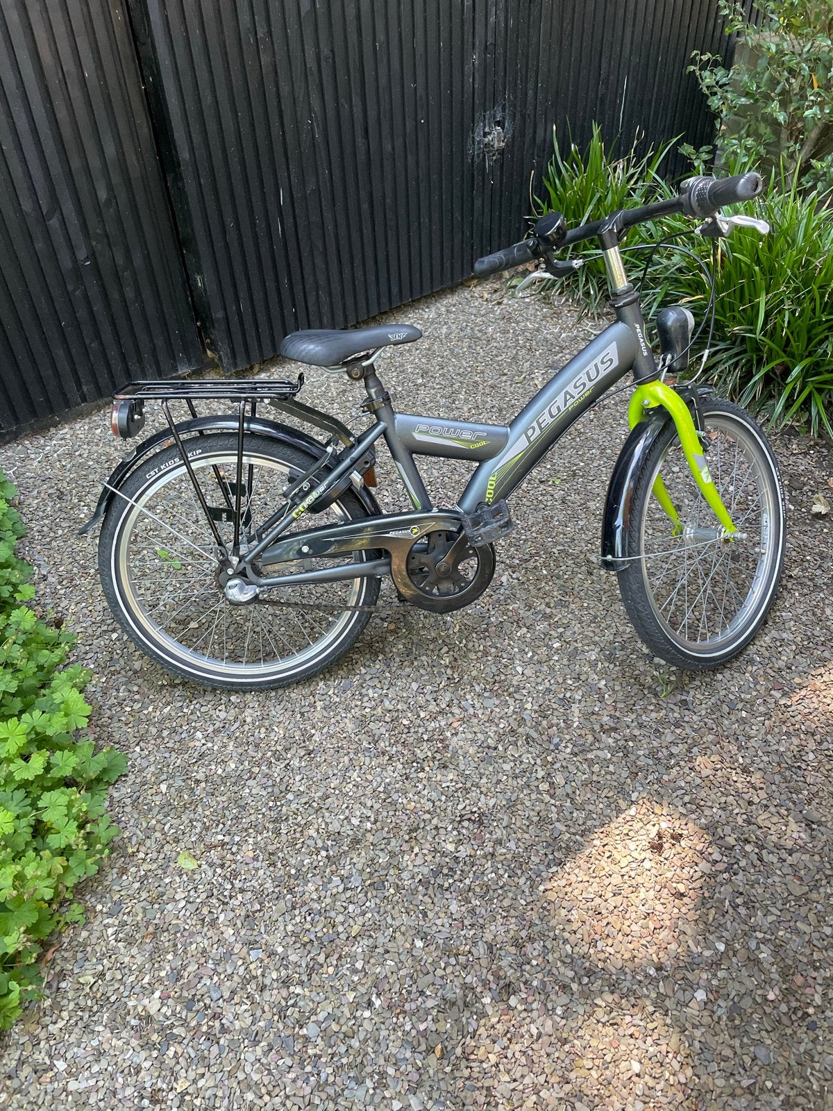 Pegasus Power Kinderfiets ATB 20 inch, Ophalen of Verzenden, Gebruikt, 20 inch of meer