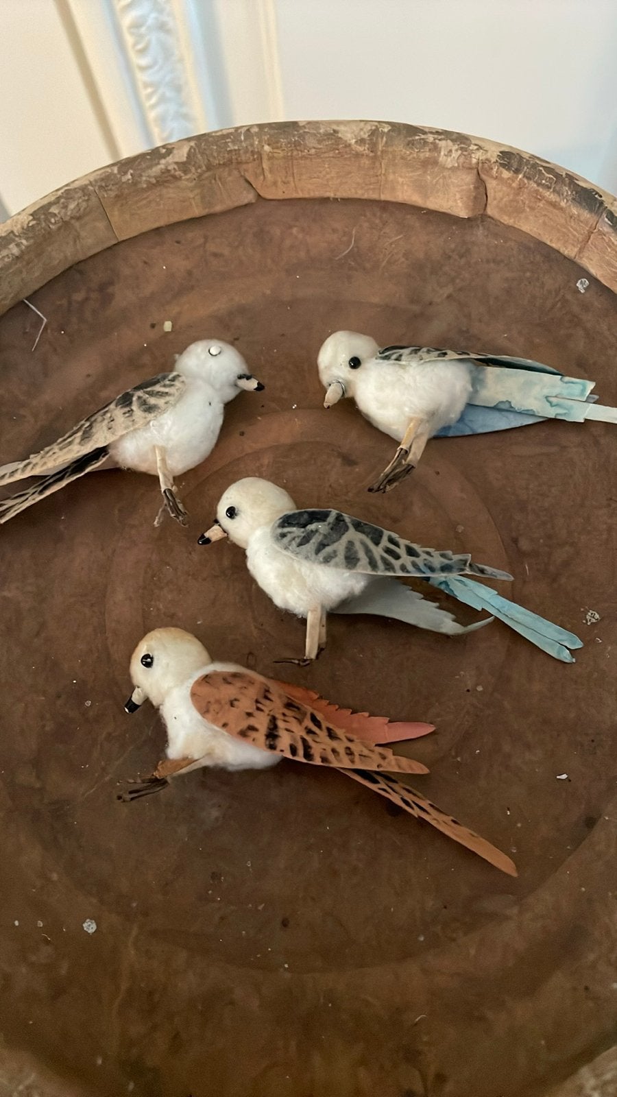 Vier antieke watten vogeltjes (rond 1900)  voor feathertree, Verzenden