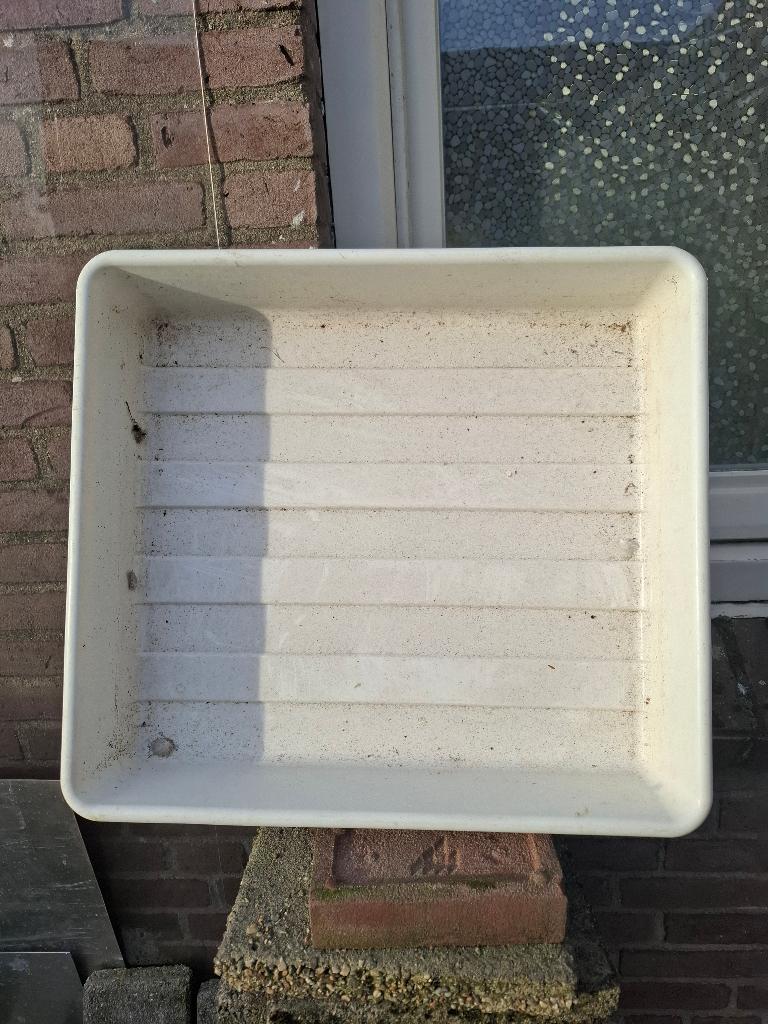 bad voor duiven, Dieren en Toebehoren, Vogels | Duiven, Meerdere dieren, Postduif