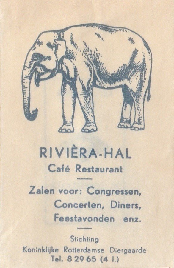 zoo Diergaarde Blijdorp Rotterdam - olifant Riviéra hal, Ophalen of Verzenden