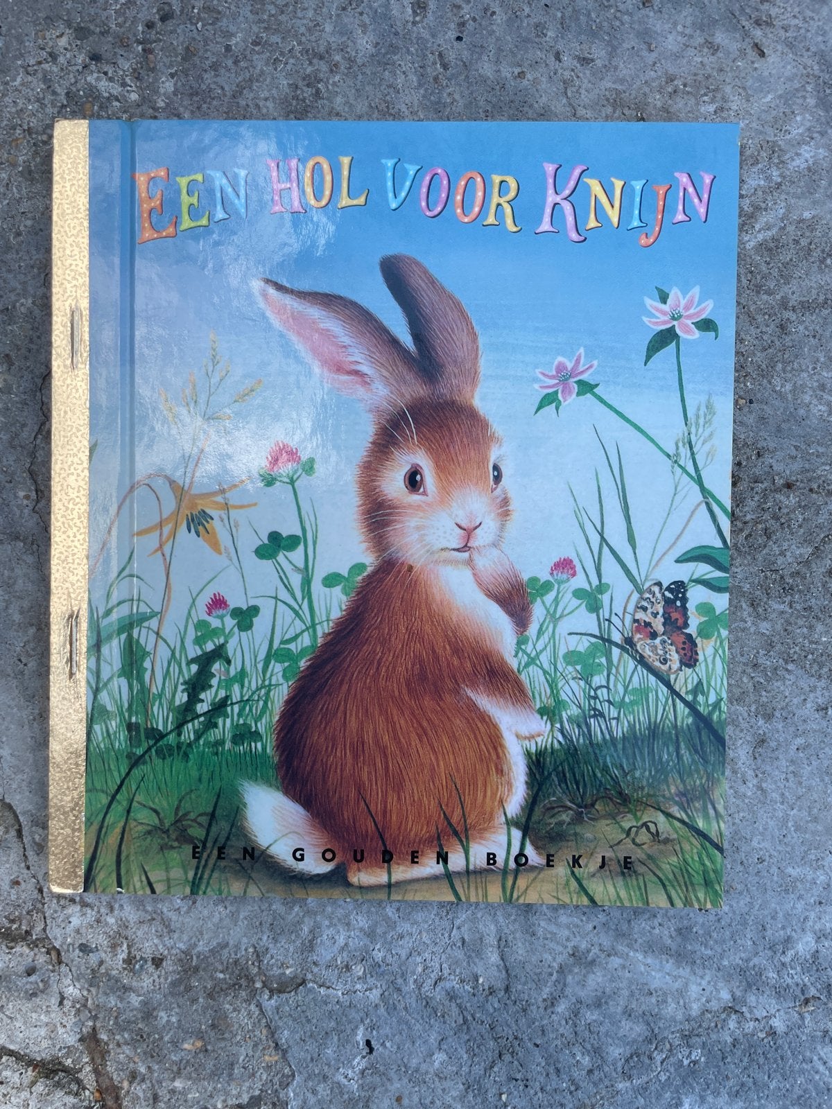 Een Hol Voor Knijn - Gouden Boekje, Jongen of Meisje, Nieuw, Gouden boekje, Ophalen of Verzenden