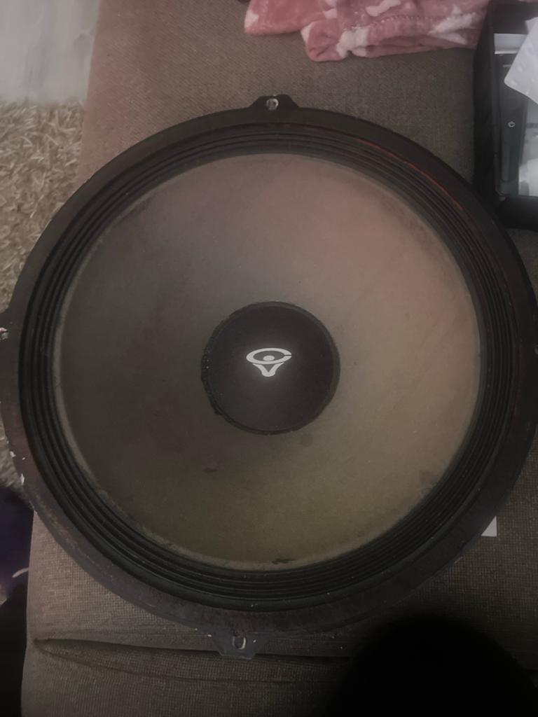 Cerwin-Vega 15 inch woofer (250W, 8 Ohm) - Maart 1981, Audio, Tv en Foto, Gebruikt, Subwoofer, 120 watt of meer, Ophalen