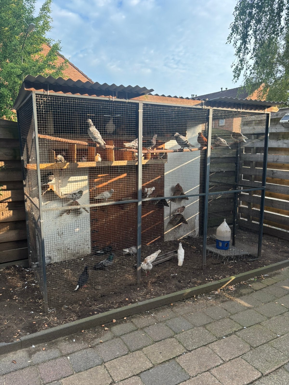 Volière/kattenren kippenhok/ren met golfdak, Dieren en Toebehoren, Vogels | Hokken en Kooien, Ophalen, Gebruikt, Aluminium, Volière