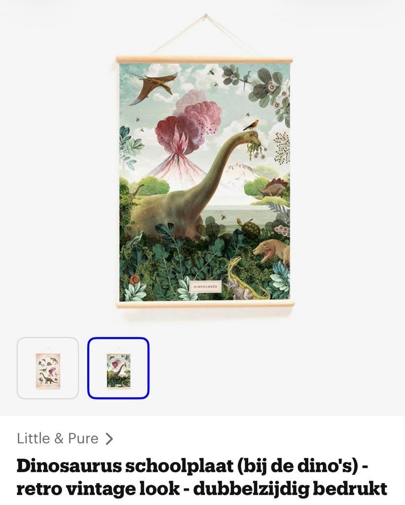 Dinosaurus schoolplaat "Bij de dino's" Pimpelmees, Ophalen of Verzenden, Zo goed als nieuw, Wanddecoratie
