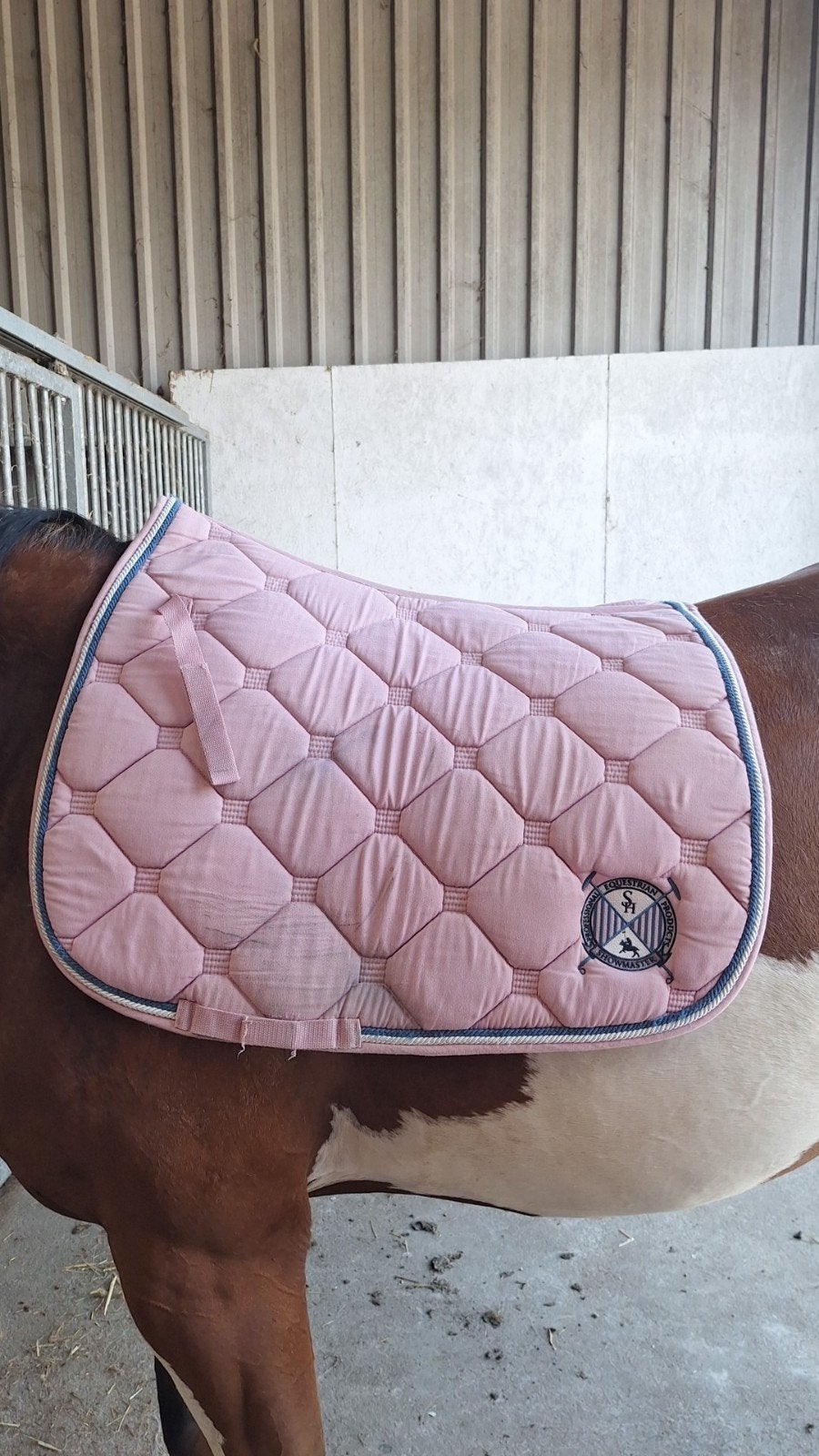 Partij paardenspullen, Dieren en Toebehoren, Ophalen of Verzenden