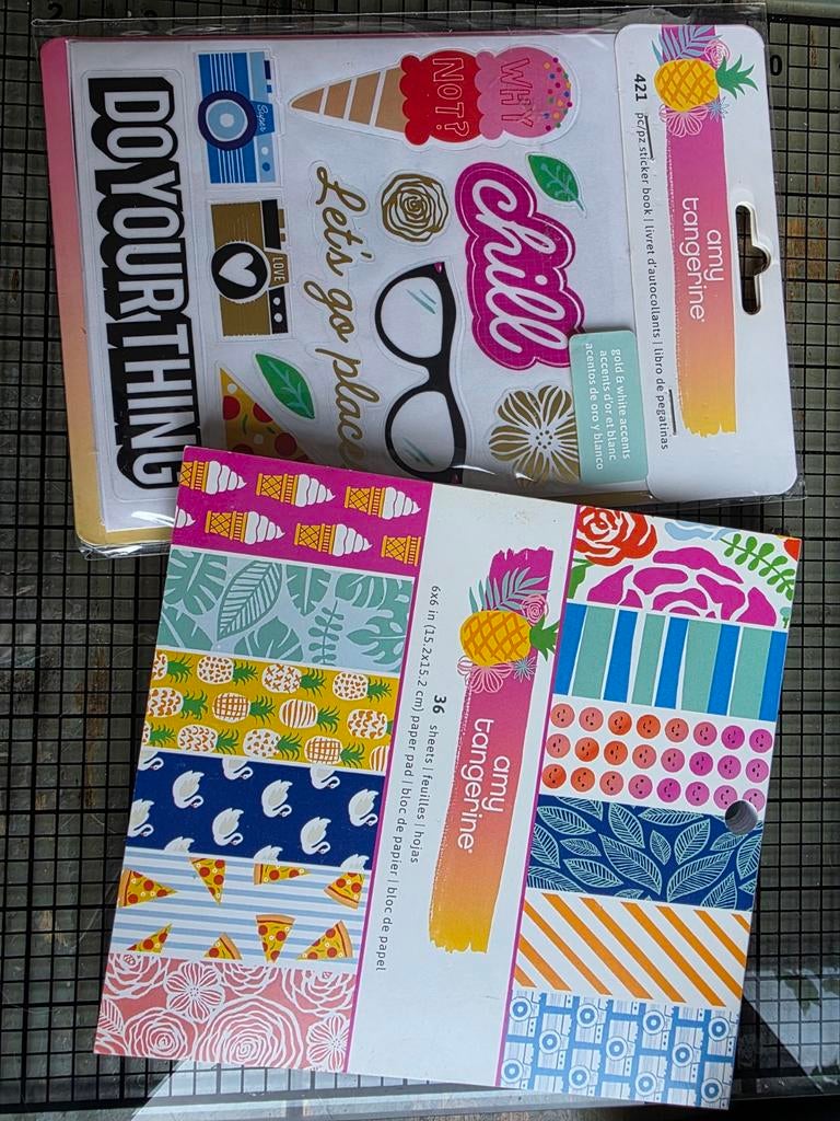 ☀️ Amy Tangerine Stickerboek & Papierblok - Zomerse Thema's, Ophalen of Verzenden, Nieuw, Stickers en Plaatjes