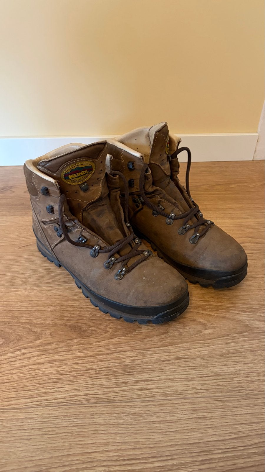 Meindl Borneo 2 MFS Wandelschoenen Maat 44, Ophalen of Verzenden, Zo goed als nieuw, Schoenen
