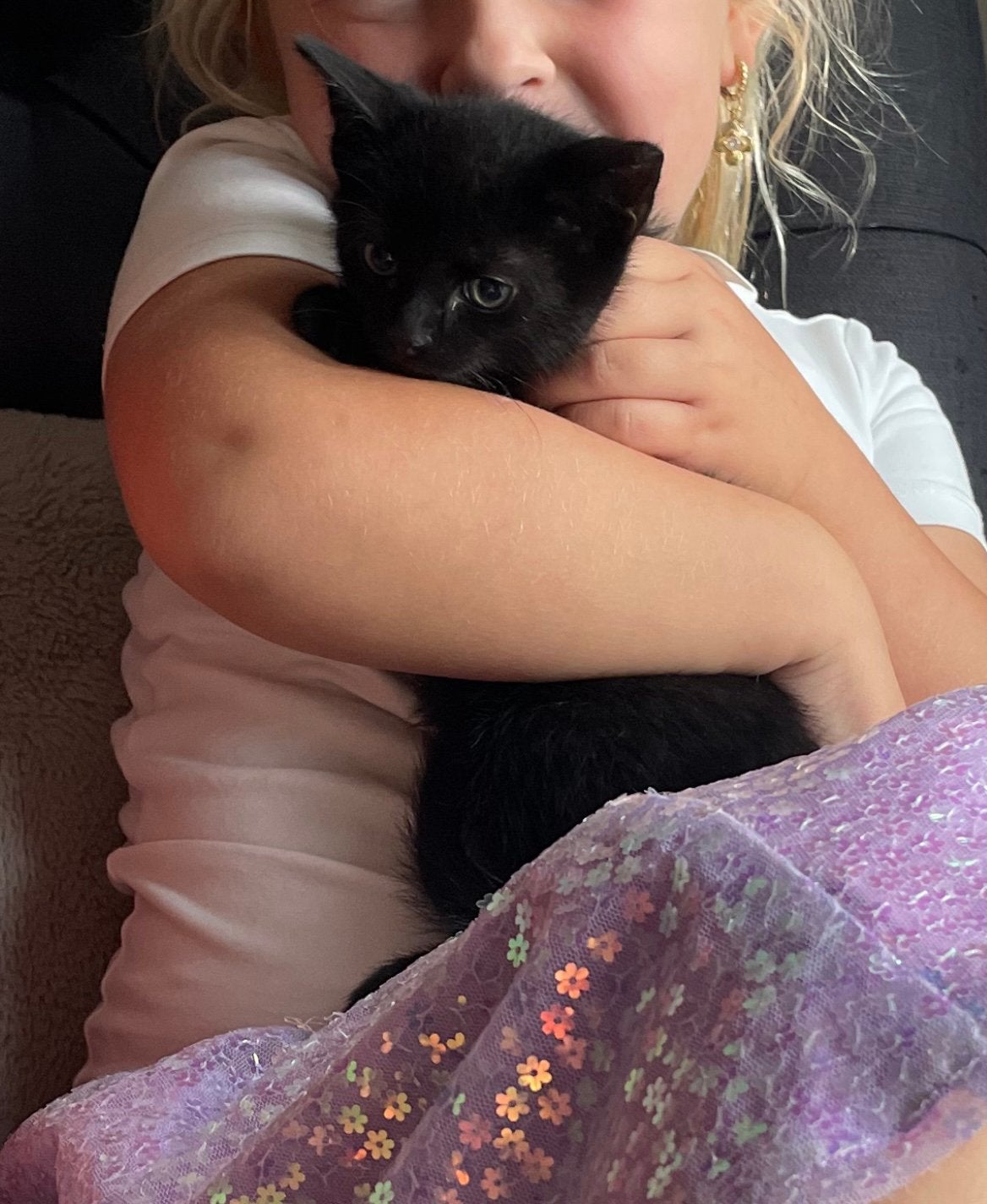Lieve klein katertje, Dieren en Toebehoren, Kater, Kortharig, 0 tot 2 jaar