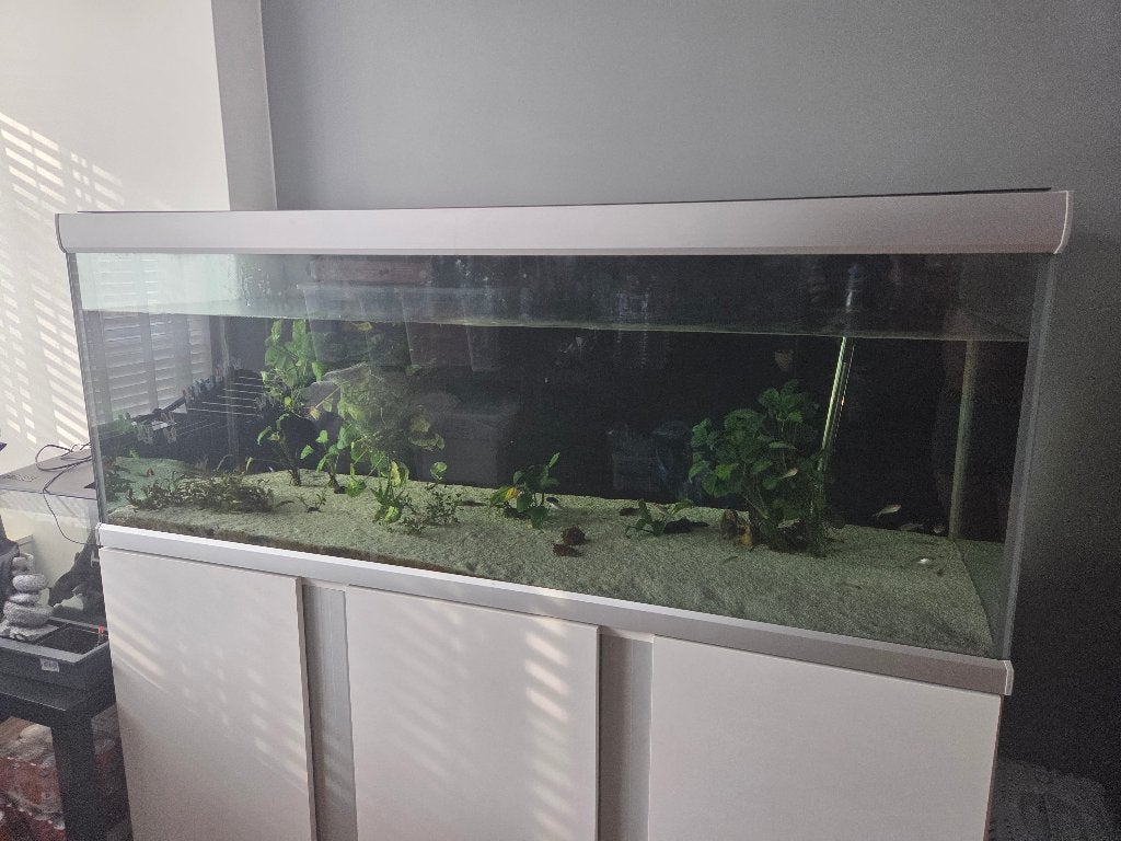 Aquarium, Dieren en Toebehoren, Vissen | Aquaria en Toebehoren, Ophalen, Verwarming, Gebruikt, Leeg aquarium