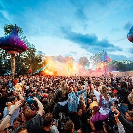 4 kaarten mystic garden festival, Tickets en Kaartjes, Twee personen, Ticket of Toegangskaart