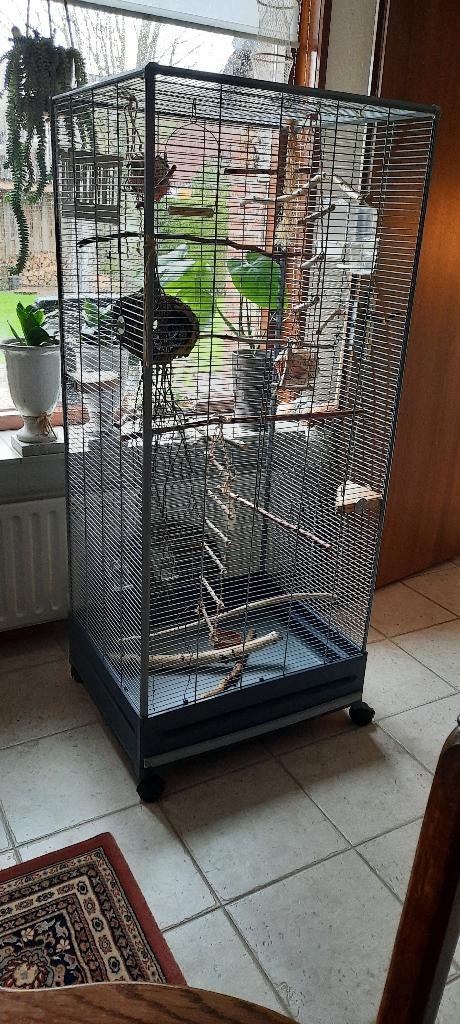 Vogelkooi, Ophalen, Zo goed als nieuw, Metaal, Vogelkooi