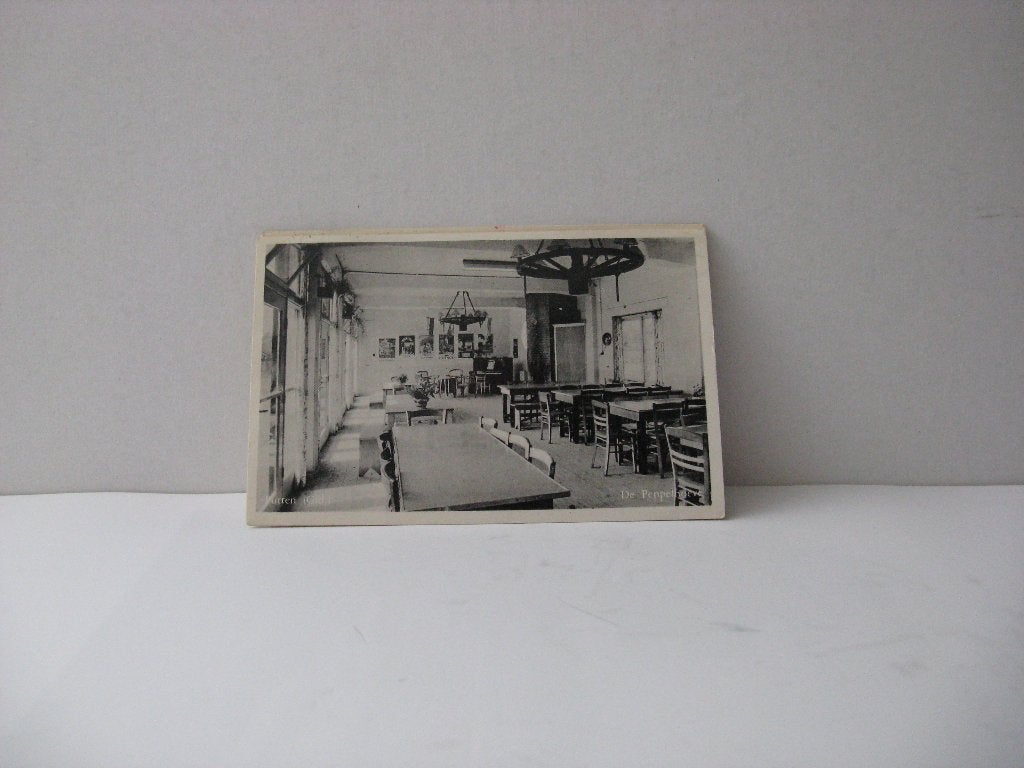 Putten Vacantiehuis de Peppelhoeve zwart wit, Verzamelen, Ansichtkaarten | Nederland, Ophalen of Verzenden, Voor 1920, Gelopen