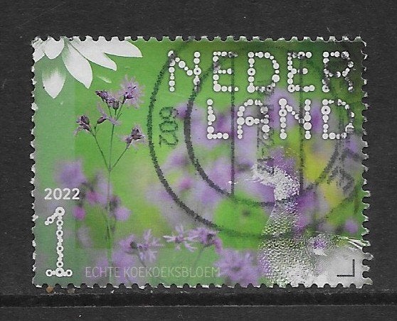 2022, Nieuwkoopse Plassen, Koekoeksbloem [4005] (K0206), Ophalen of Verzenden