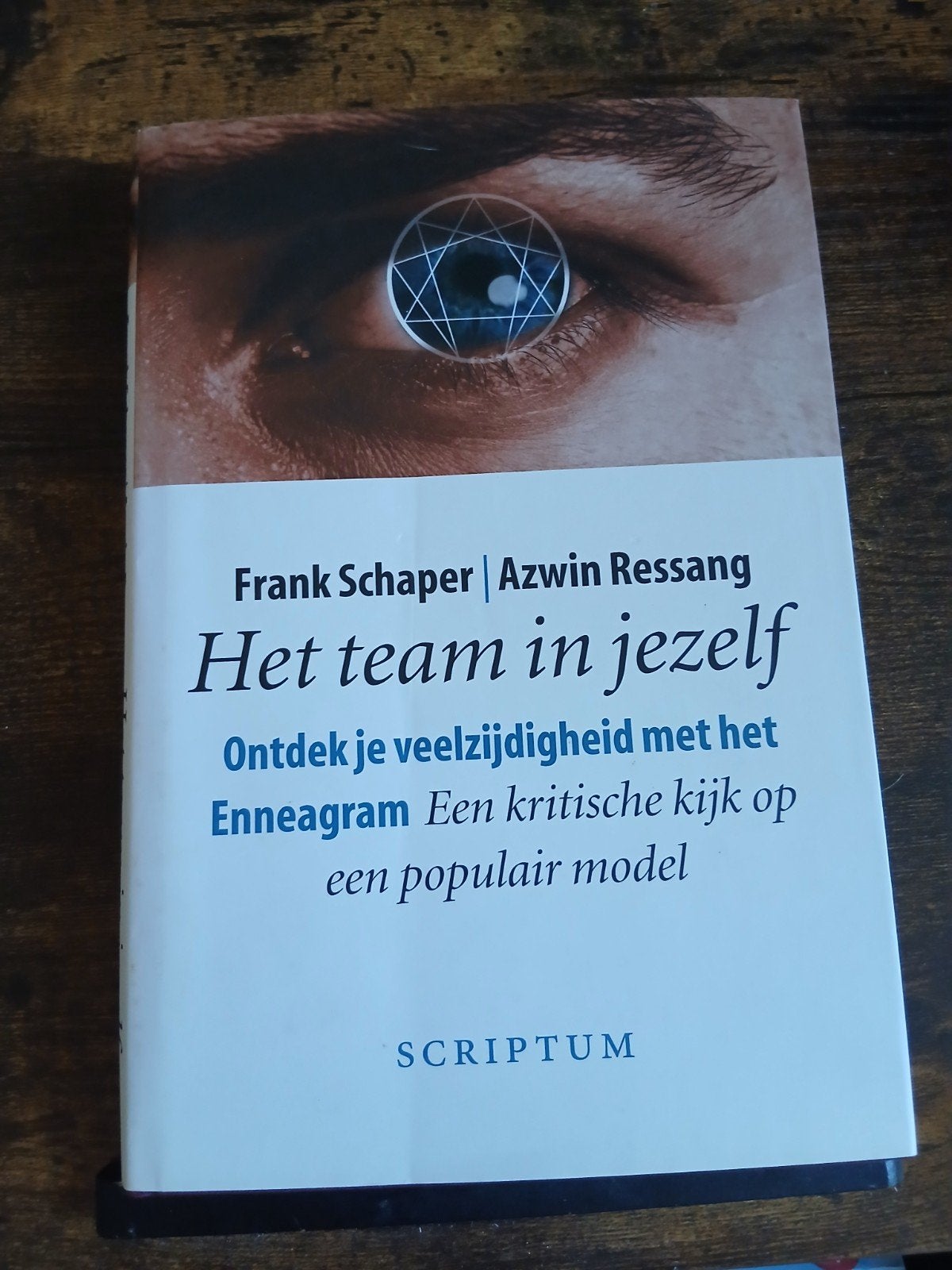 Het team in jezelf - Frank Schaper | Azwin Ressang, Ophalen of Verzenden, Gelezen
