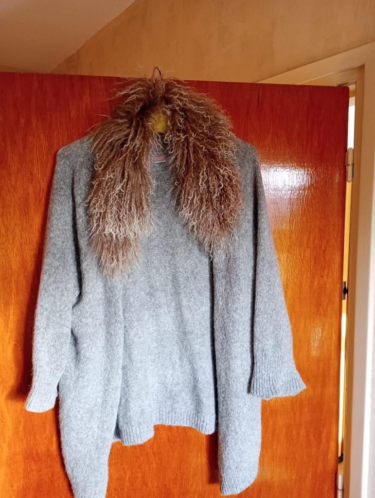vest, Ophalen of Verzenden, Zo goed als nieuw, Maat 42/44 (L), Overige kleuren
