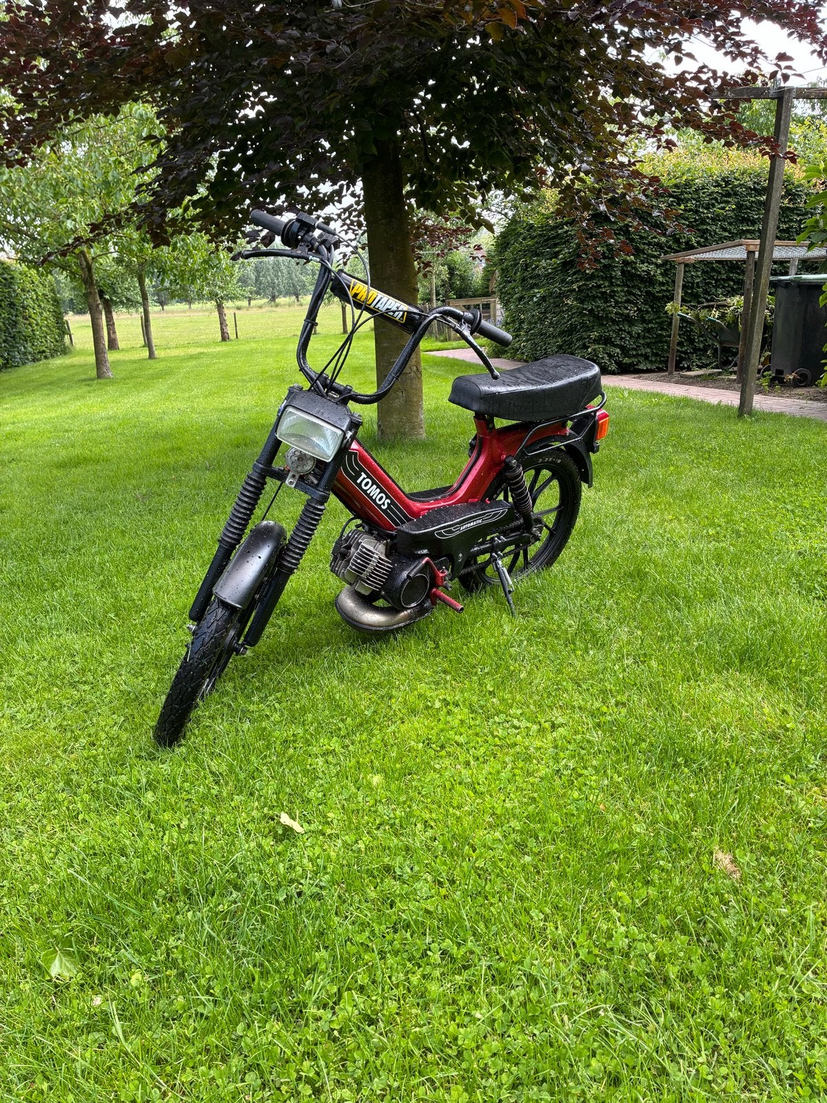 Tomos a35 65cc (zonder kenteken), Fietsen en Brommers, Brommers | Tomos, Ophalen, Overige modellen, Maximaal 45 km/u, 65 cc