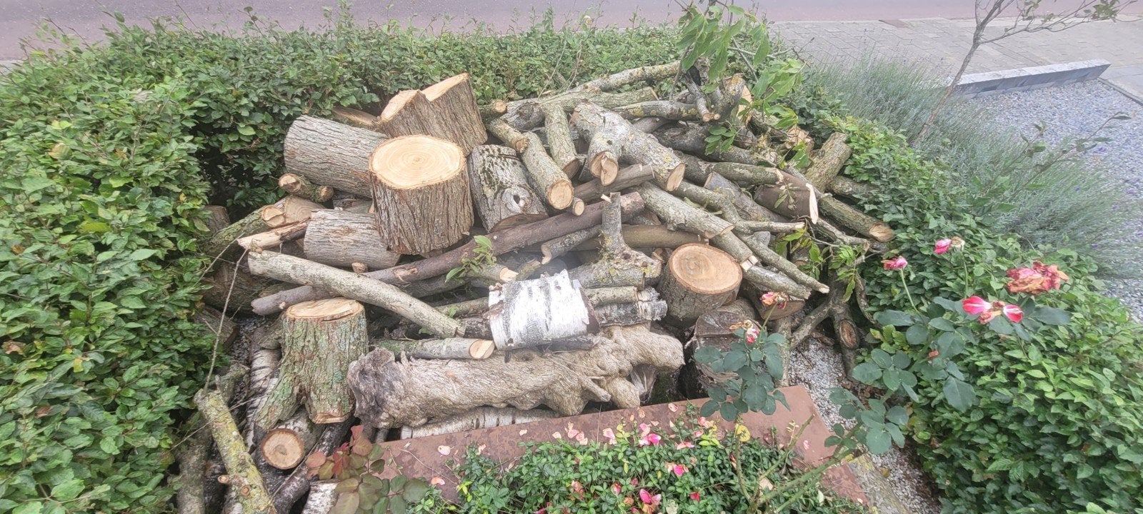 Haardhout, Tuin en Terras, 3 tot 6 m³, Ophalen, Berkenhout, Blokken