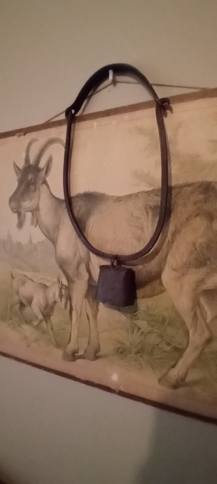 Grote Stalen Ossenbel, Ophalen of Verzenden
