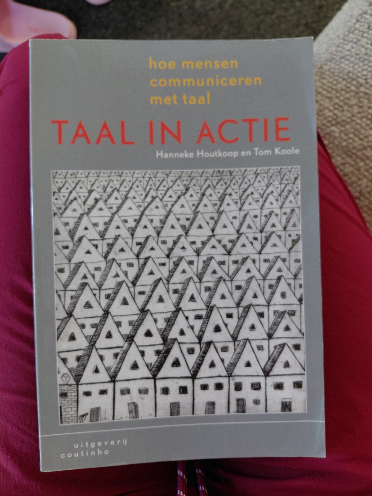 Studieboek Taal in Actie - Hoe mensen communiceren met taal, Boeken, Studieboeken en Cursussen, Gelezen, Alpha, Hanneke Houtkoop en Tom Koole