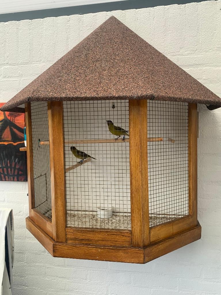 Vogelkooi, Dieren en Toebehoren, Ophalen, Zo goed als nieuw, Hout, Vogelkooi