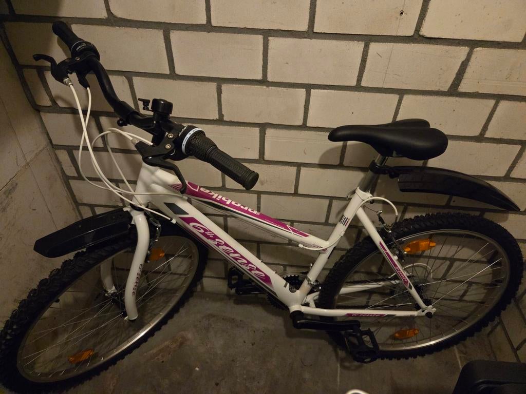 Probike 6th Sense Mountainbike, 26 inch, 18 versnellingen, Hardtail, Velgrem, 45 tot 49 cm, Zo goed als nieuw