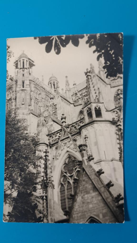 Den Bosch - 's-Hertogenbosch  - St Jan Kathedraal, Ophalen of Verzenden, Ongelopen, Noord-Brabant