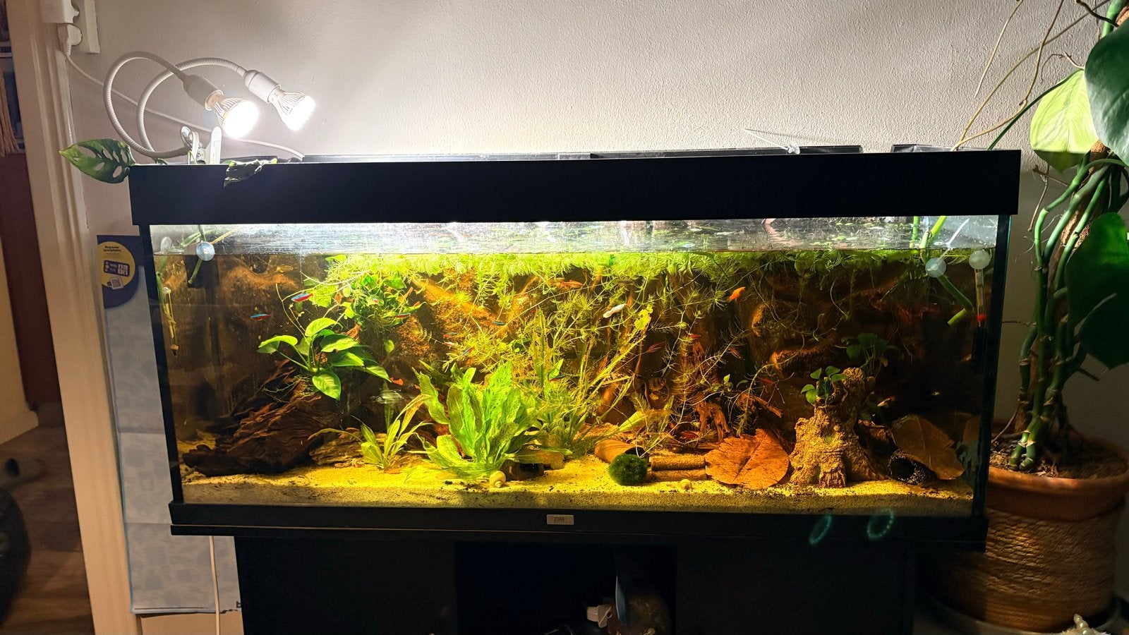Goed draaiende juwel aquarium ALL IN, Dieren en Toebehoren, Ophalen, Gebruikt