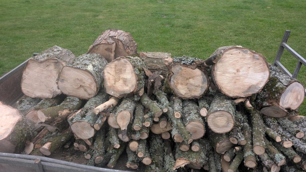 Openhaard hout, Tuin en Terras, Haardhout, 3 tot 6 m³, Ophalen of Verzenden, Eikenhout, Blokken