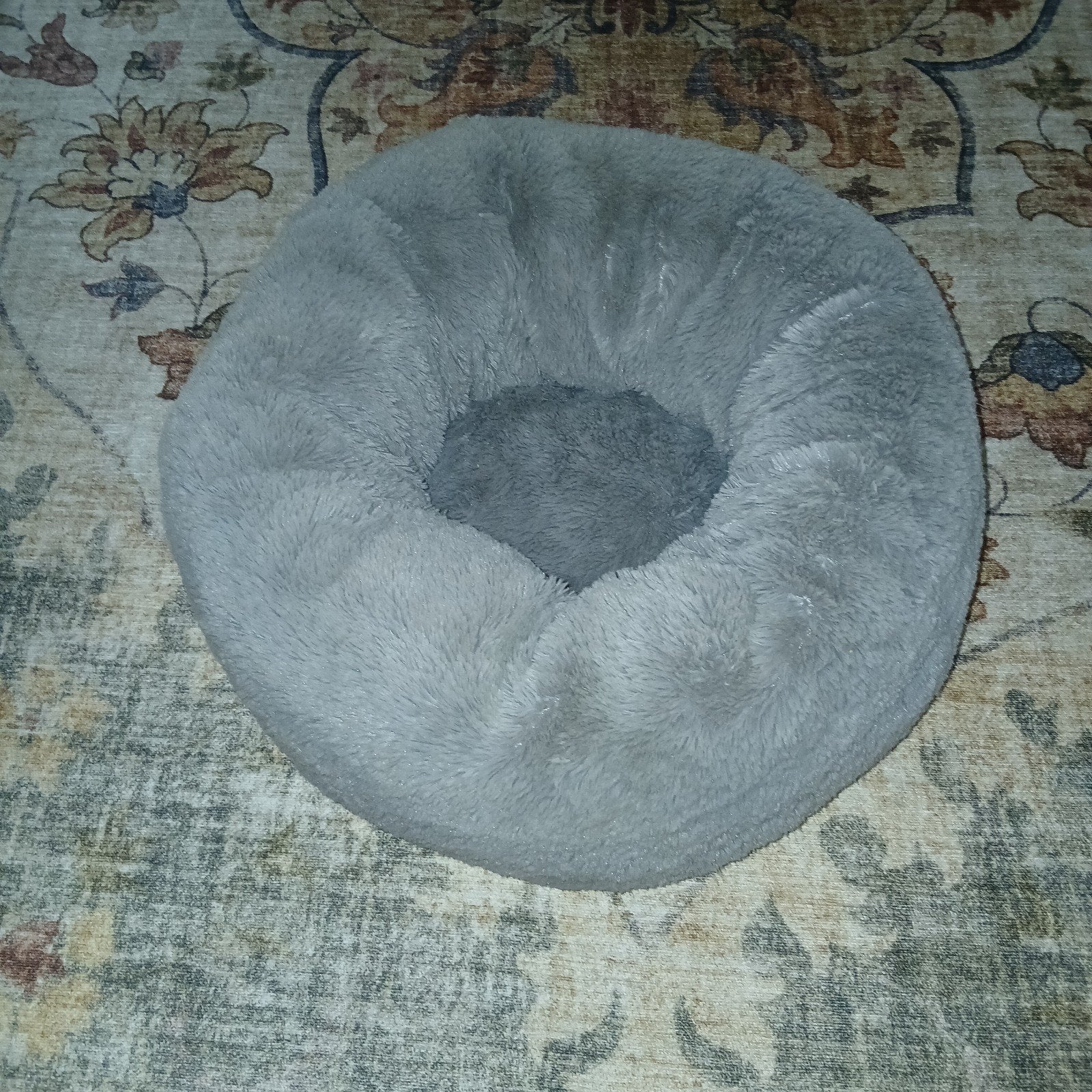 kattenrassen, Dieren en Toebehoren, Ophalen of Verzenden