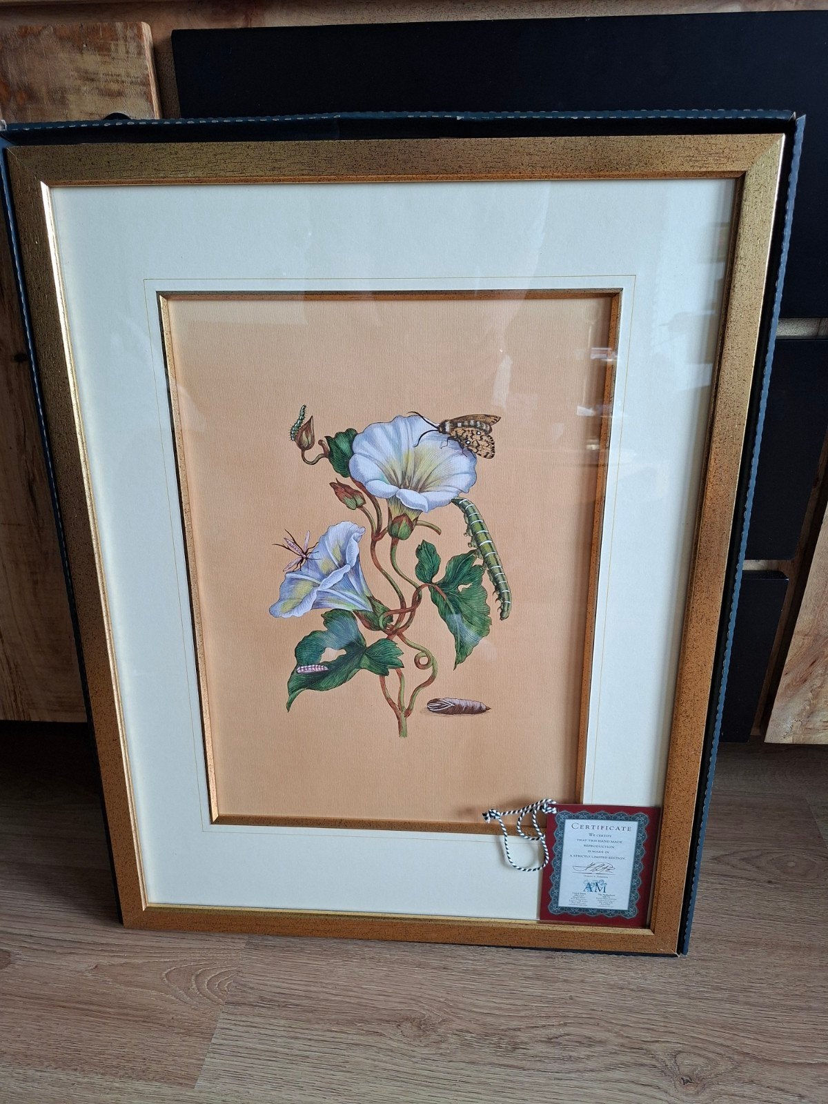 Ingelijste botanische print met vlinder en rups, Ophalen of Verzenden